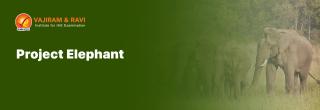 project elephant-27.webp