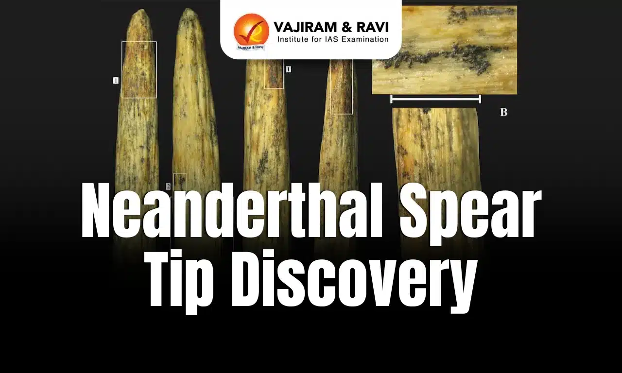 Neanderthal Spear Tip Discovery