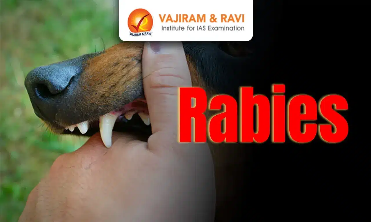 Rabies