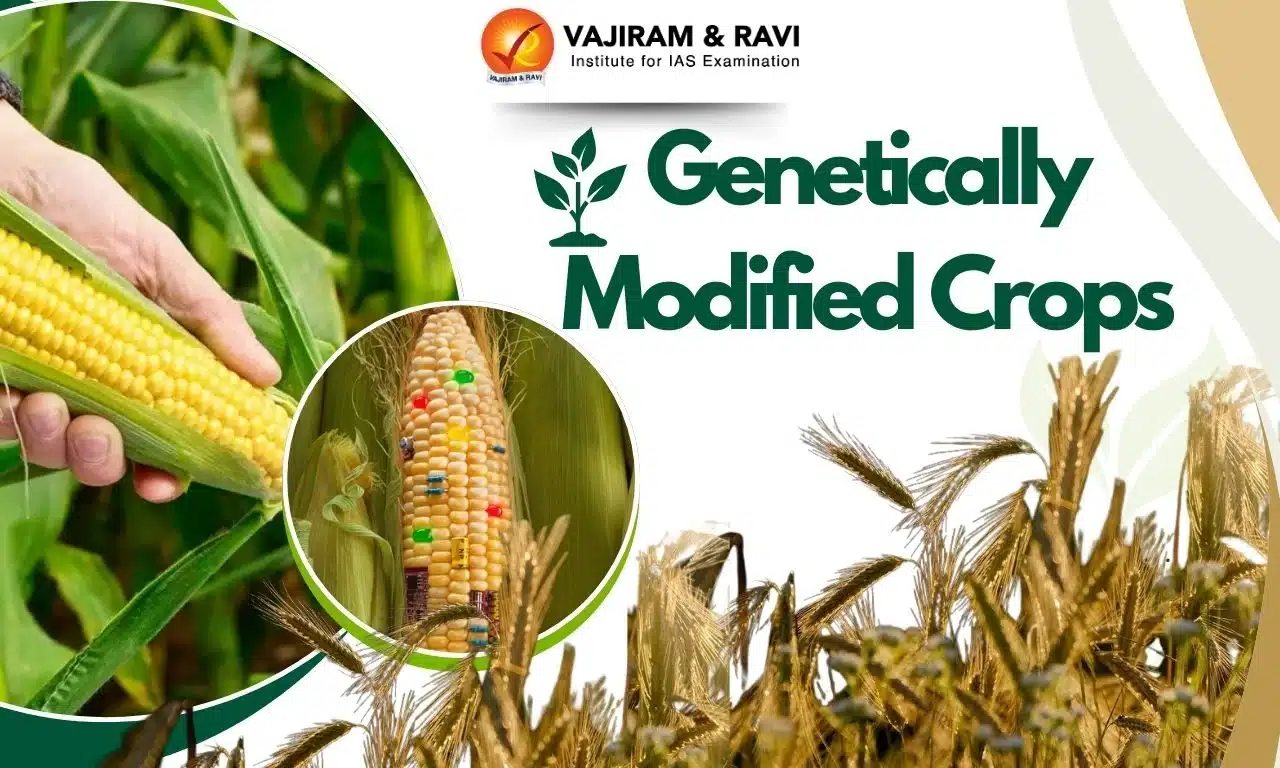 Genetically Modified Crops