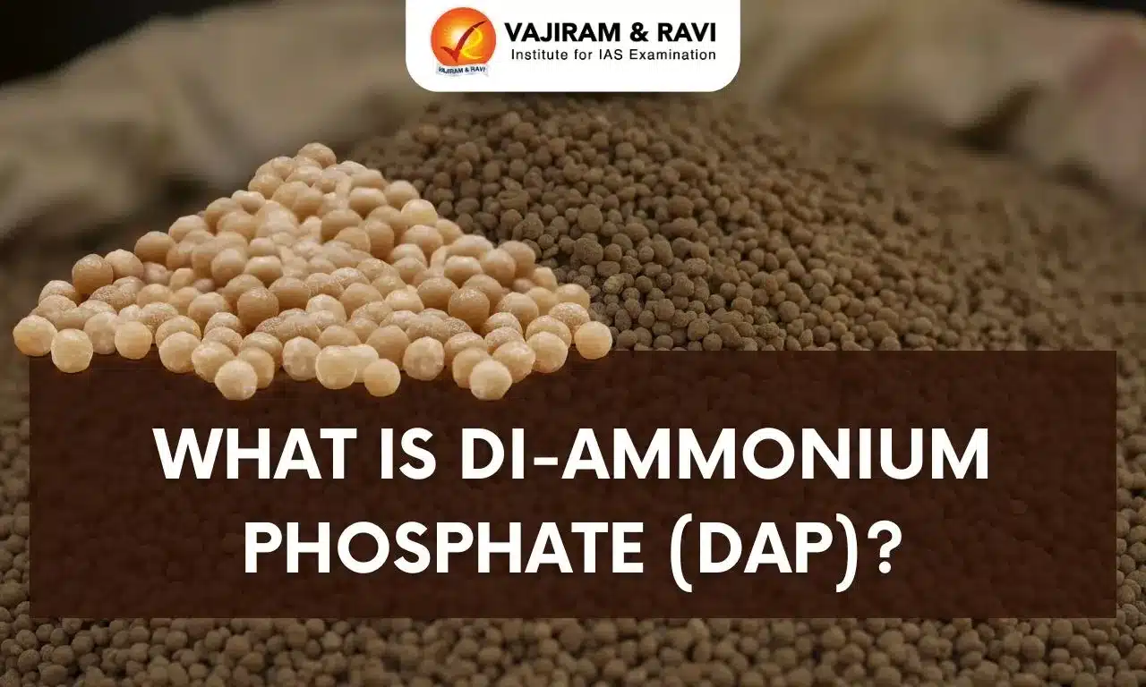 What is Di-Ammonium Phosphate