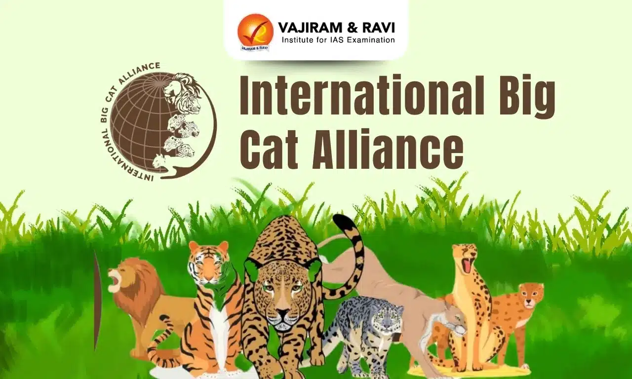 International Big Cat Alliance