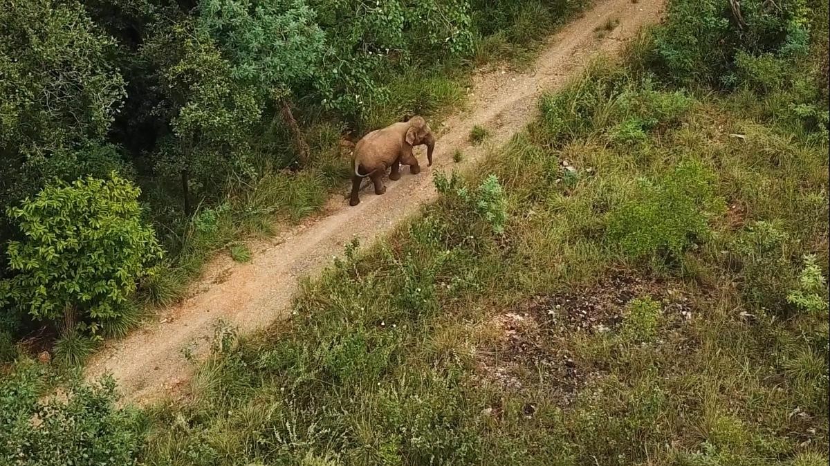 About Koundinya Wildlife Sanctuary