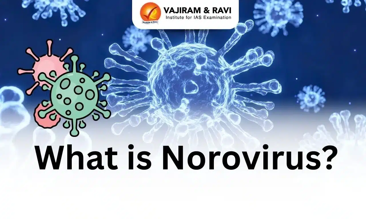 About Norovirus