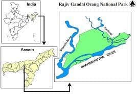 About Orang National Park