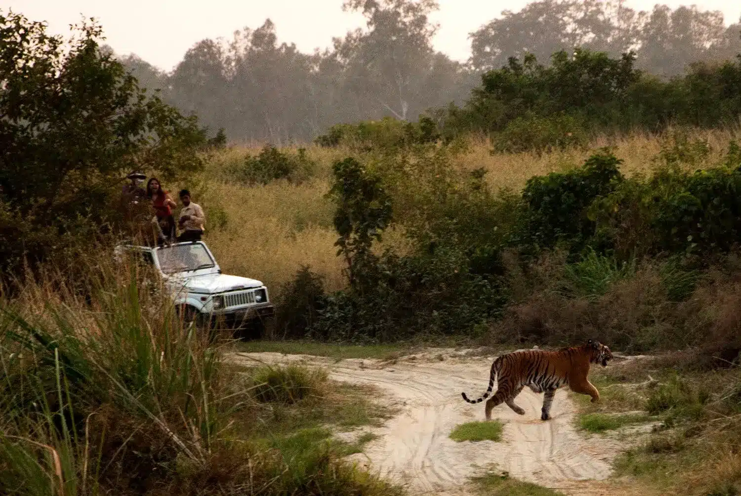 Achanakmar Tiger Reserve