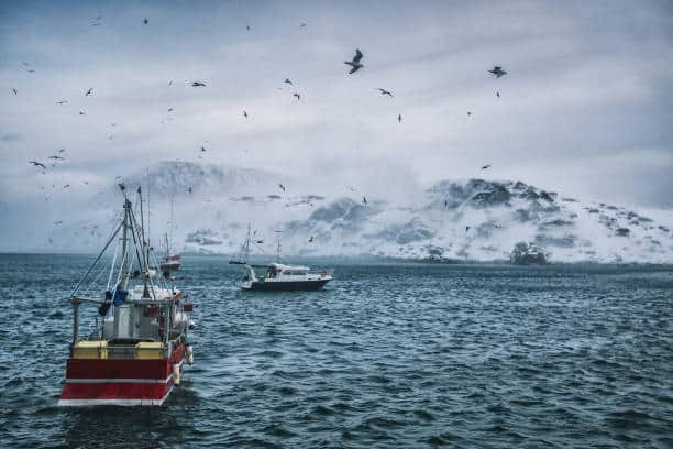 Where is Barents Sea?