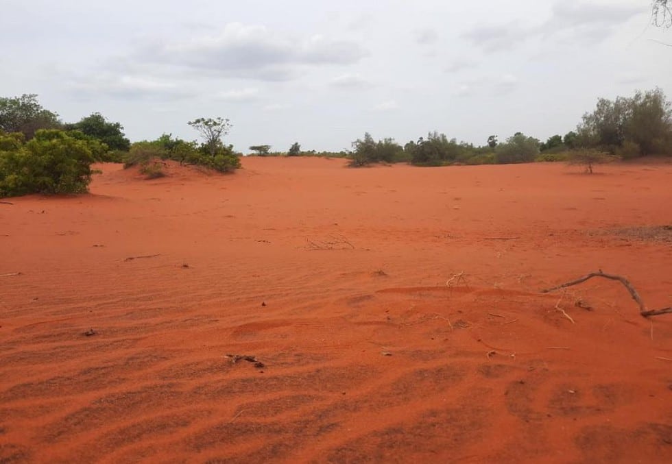 Coastal Red Sand Dunes