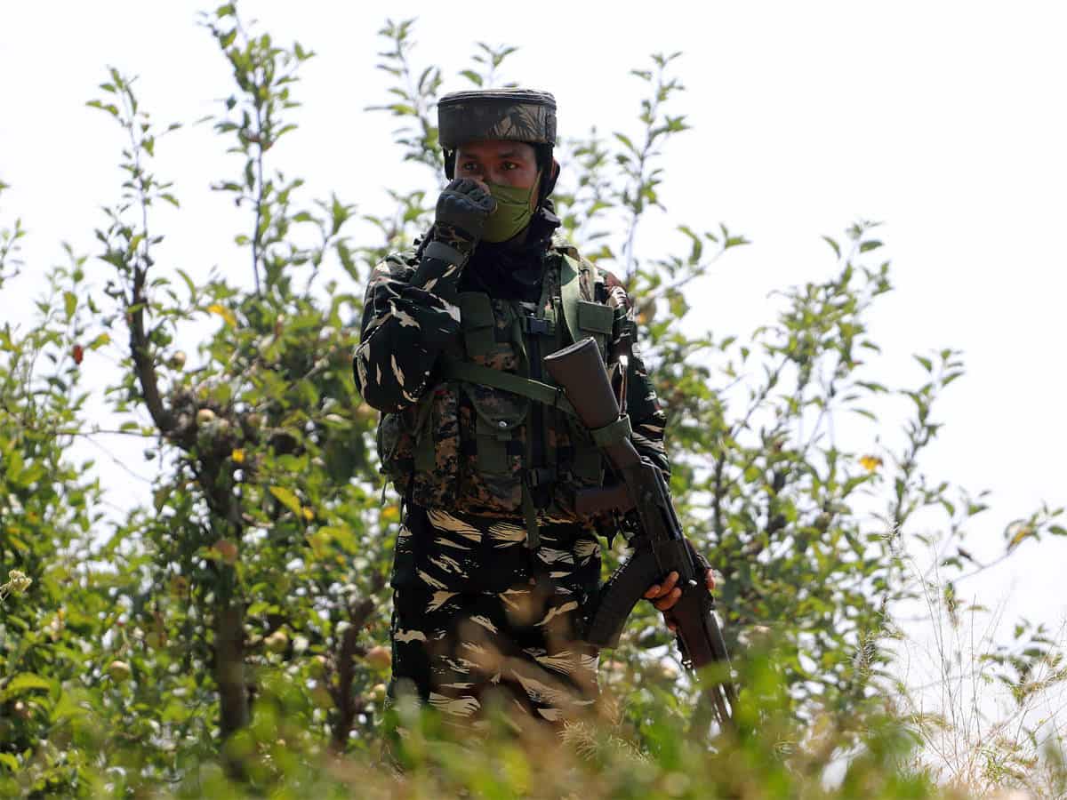 Commando Battalion for Resolute Action (CoBRA)