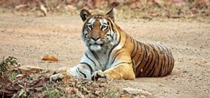 Dibang Wildlife Sanctuary