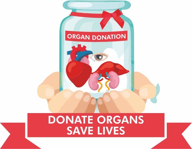 Governing Organ Transplantation in India