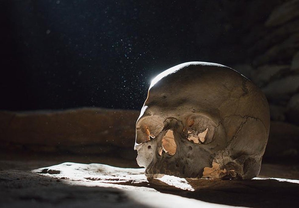 Homo Erectus