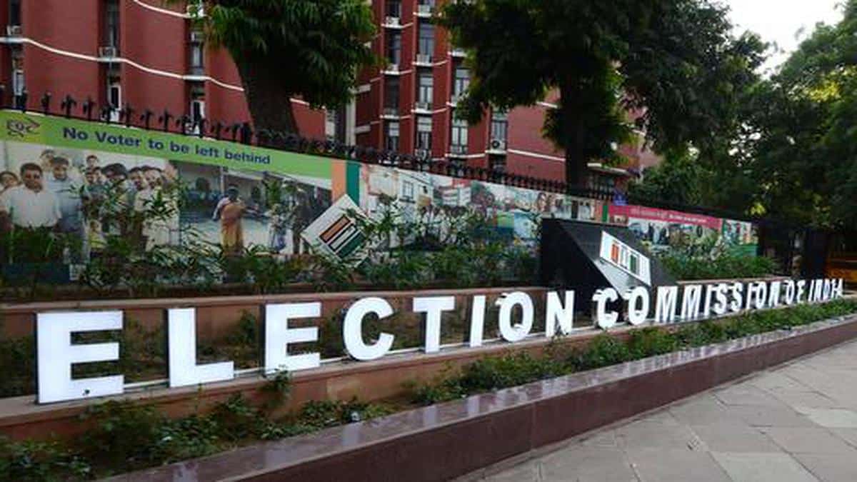 How are the CEC and ECs appointed?