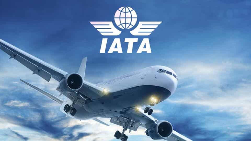 What is International Air Transport Association (IATA)?