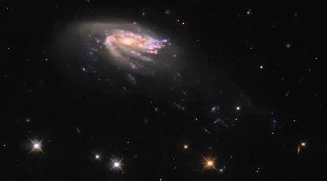 Jellyfish galaxy (JO206)