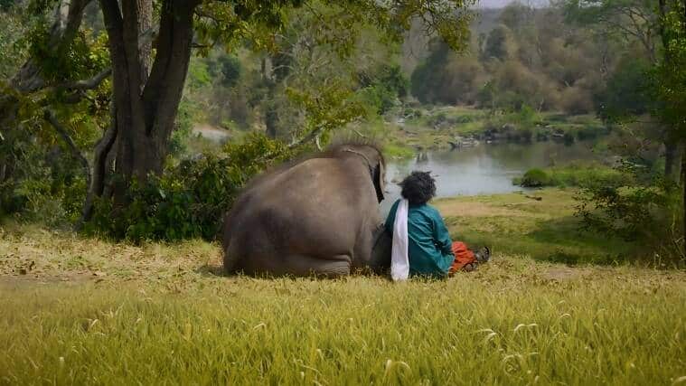 Mudumalai Tiger Reserve