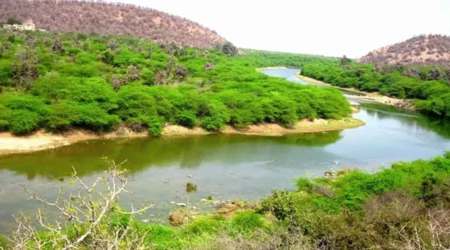 Ramgarh Vishdhari Tiger Reserve