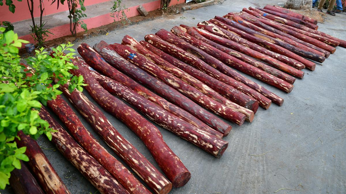 Red Sanders is endemic to Eastern Ghats.