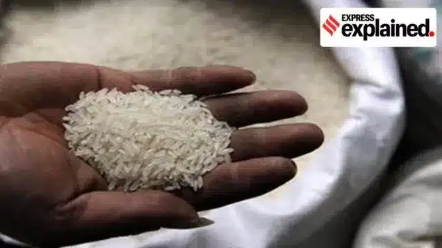 Rice Fortification