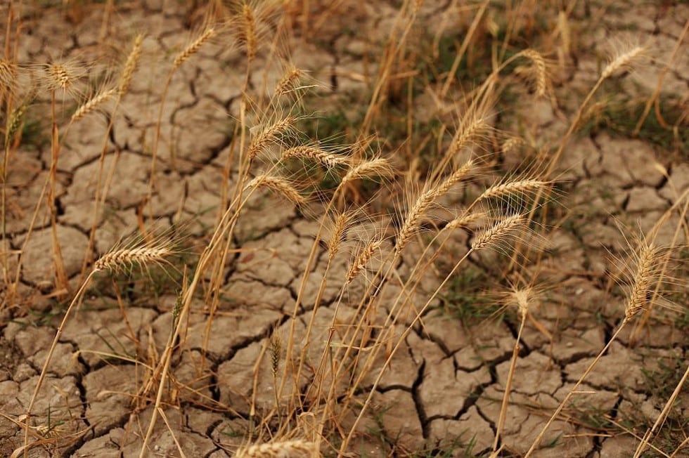September 2022 tied as Earth’s 5th warmest on record