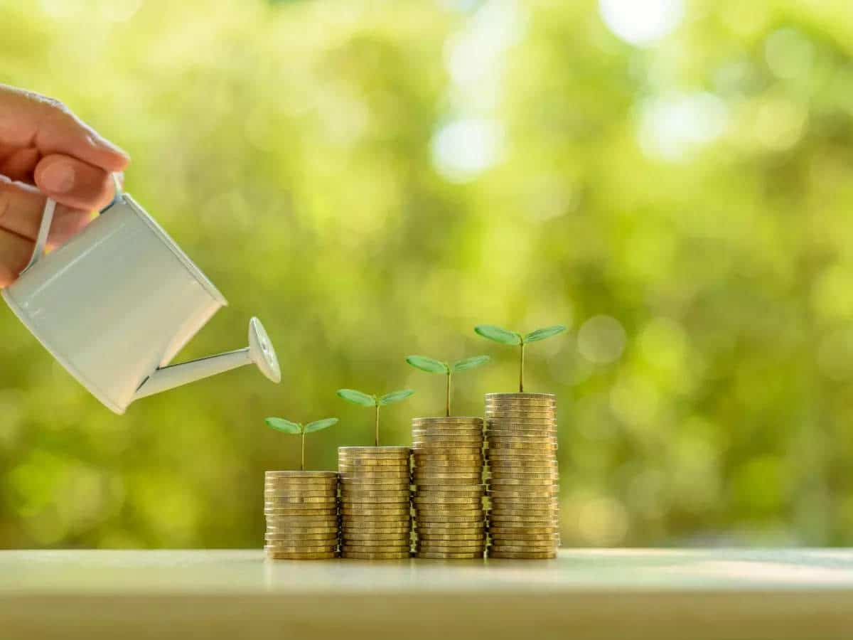 State Development Loans (SDL)