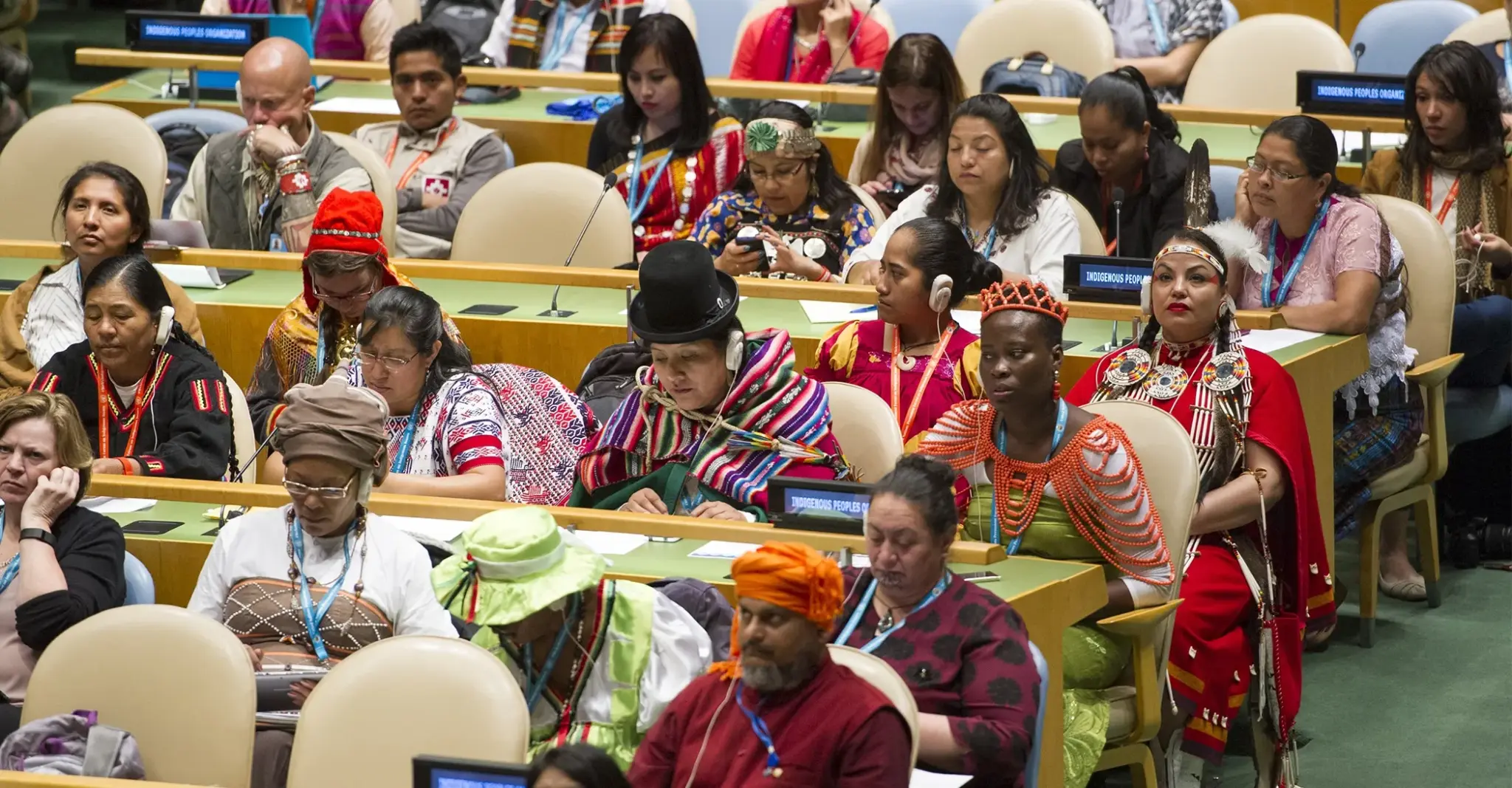 UN Permanent Forum on Indigenous Issues (UNPFII)