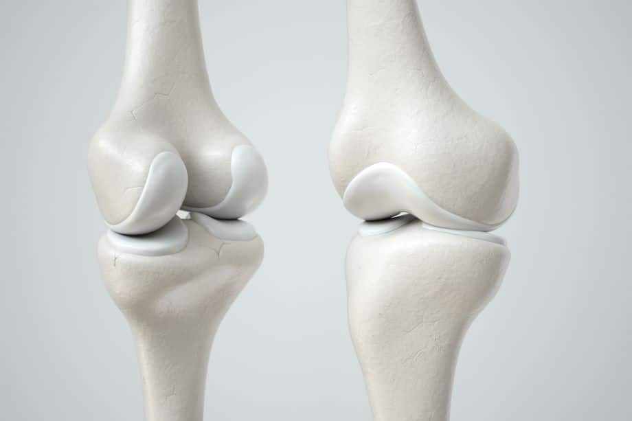 What is Cartilage?