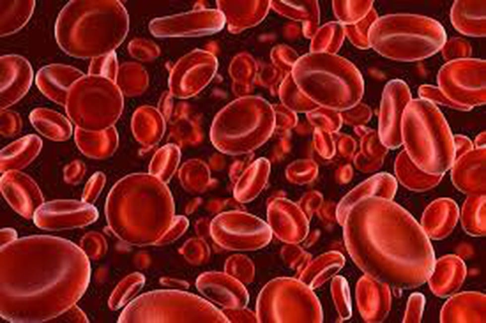 What is Haemophilia?