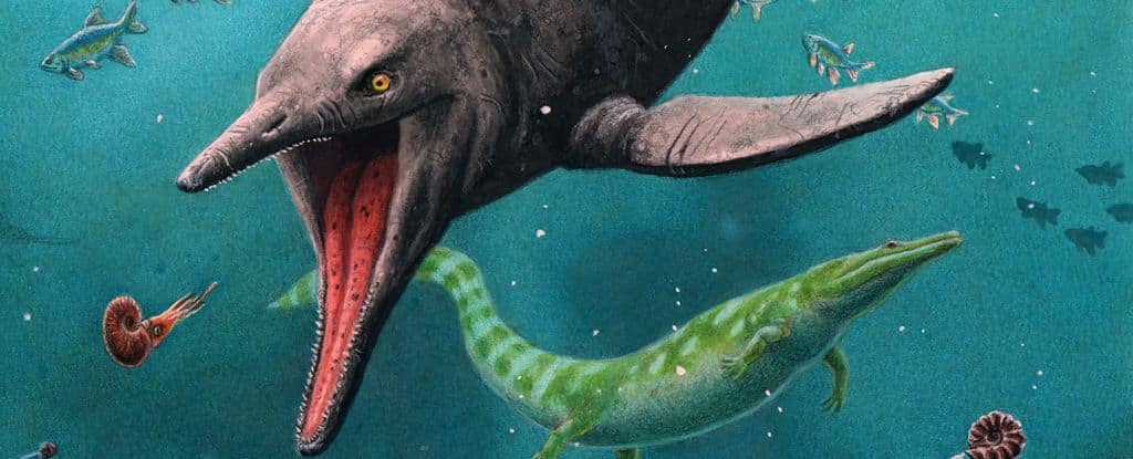 What is Ichthyosaur?