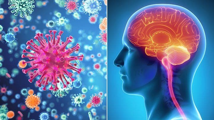 What is Meningitis?