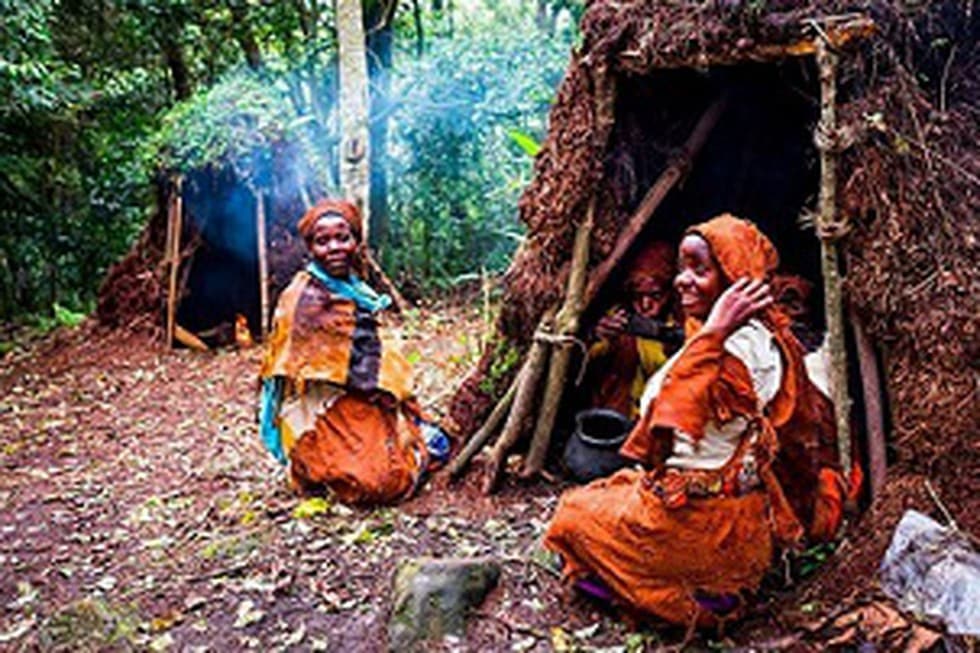 What is Pradhan Mantri Adi Adarsh Gram Yojana?