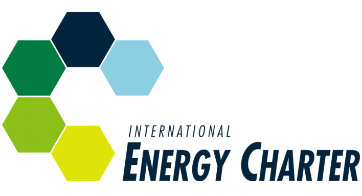 What is the Energy Charter Treaty (ECT)?