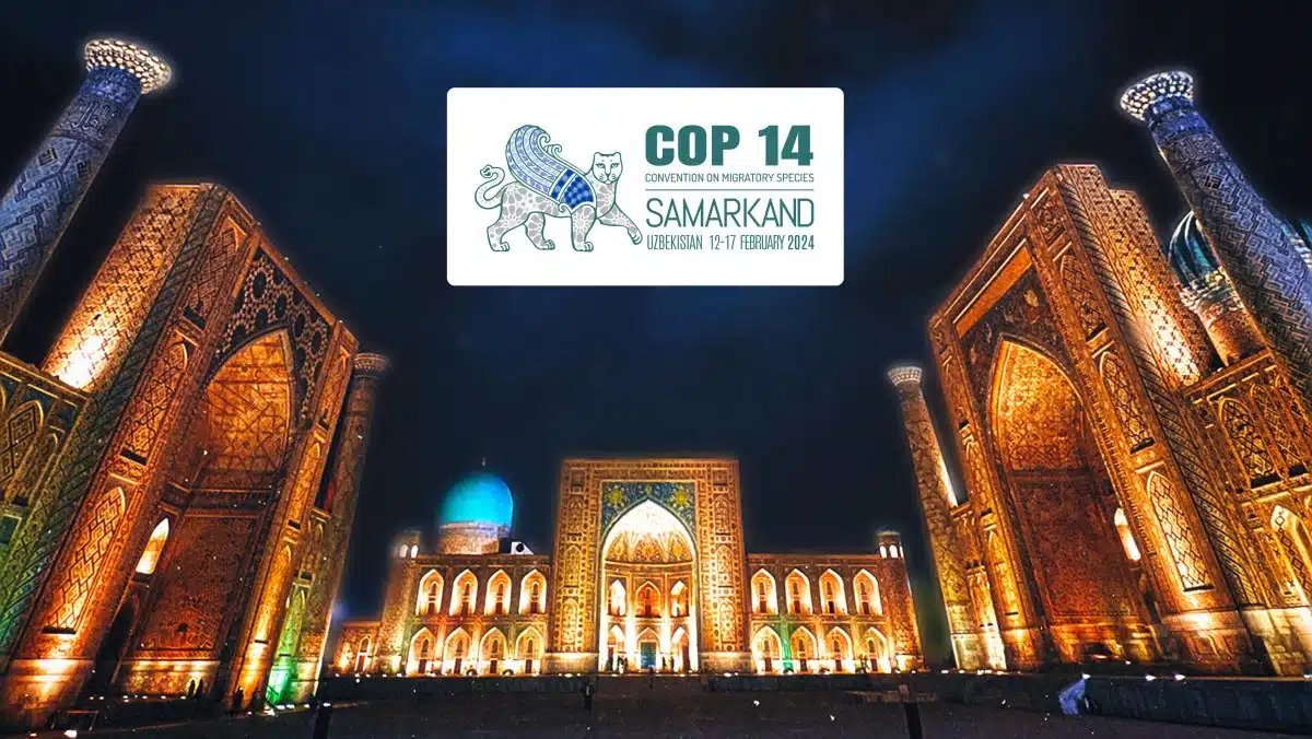 Convention on the Conservation of Migratory Species