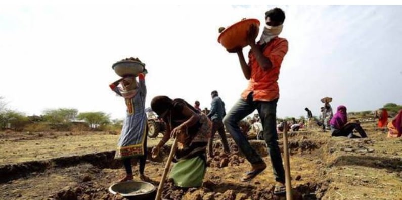 About Mahatma Gandhi National Rural Employment Guarantee Scheme (MGNREGS)