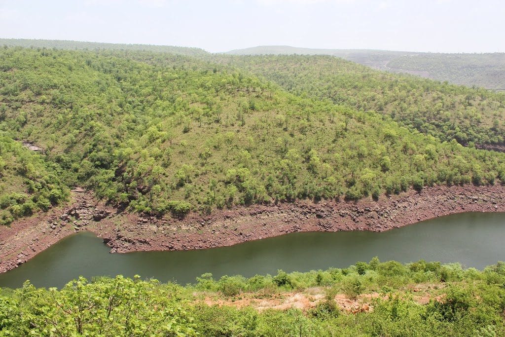 About Nallamala Forest