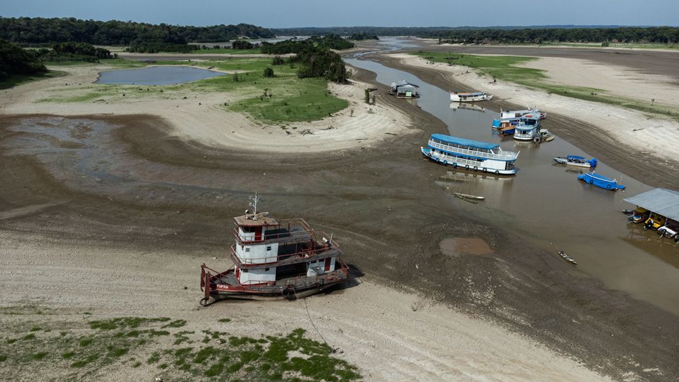 Drought in Amazon Rainforests | Impact, Causes & Future