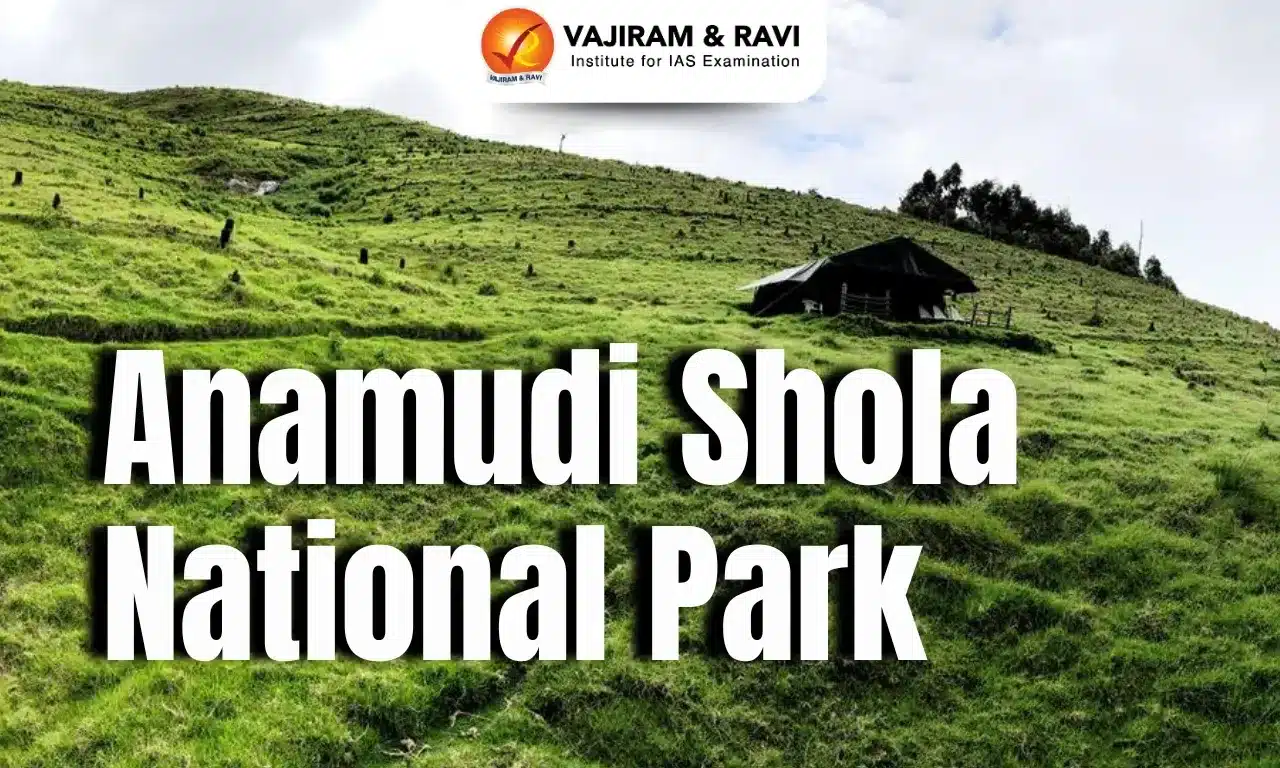 Anamudi Shola National Park
