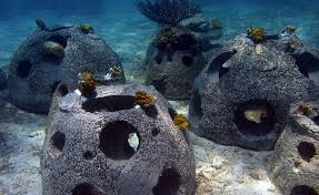 Artificial Reef (AR)