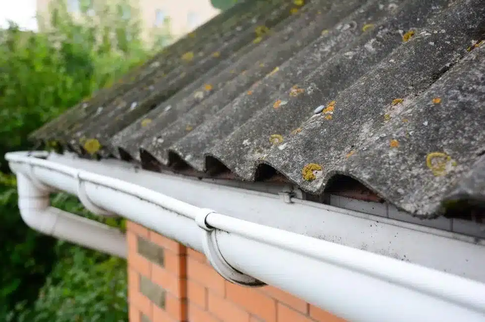 Asbestos
