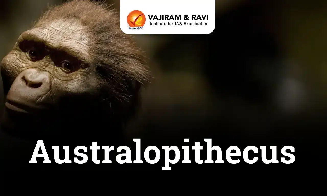 What is Australopithecus?