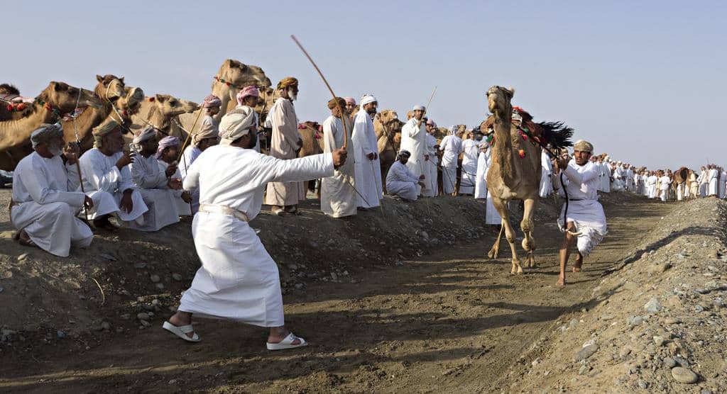 Who are Bedouin Arabs?