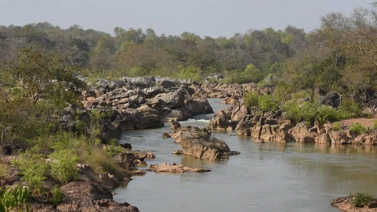 Biodiversity Heritage Site