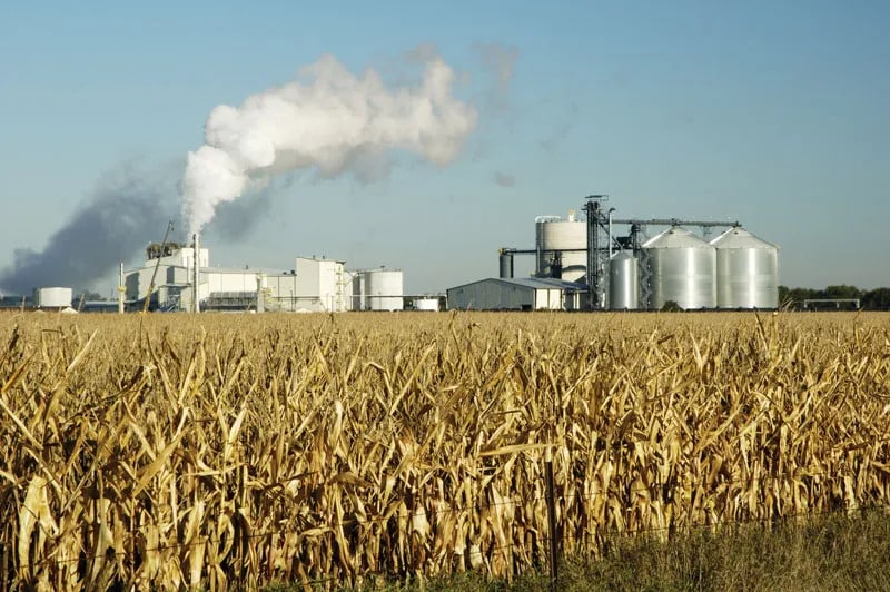 Biofuel Production in India