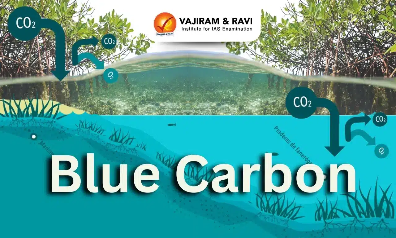 Blue Carbon