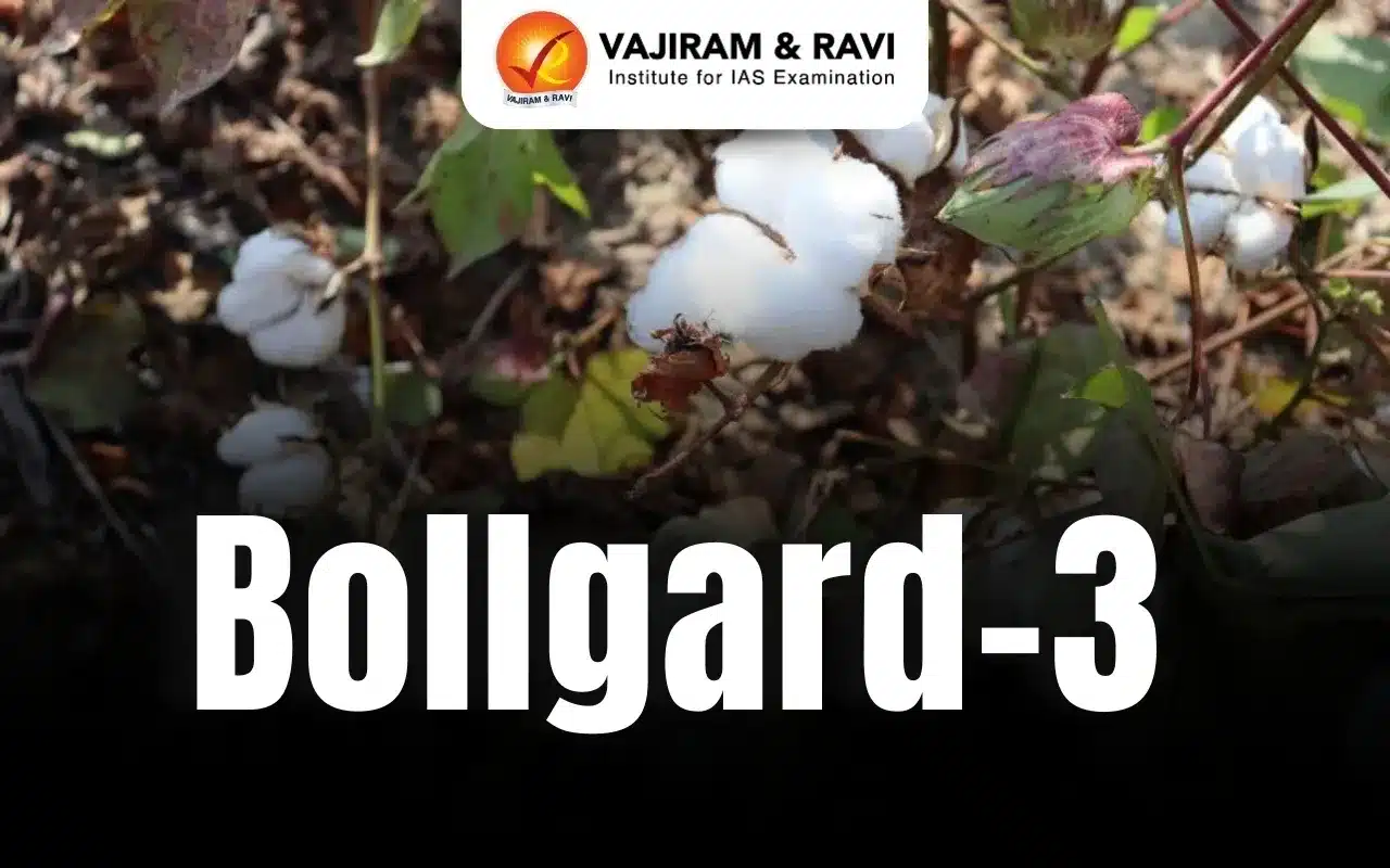 Bollgard-3