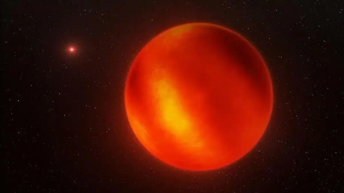 Brown dwarfs