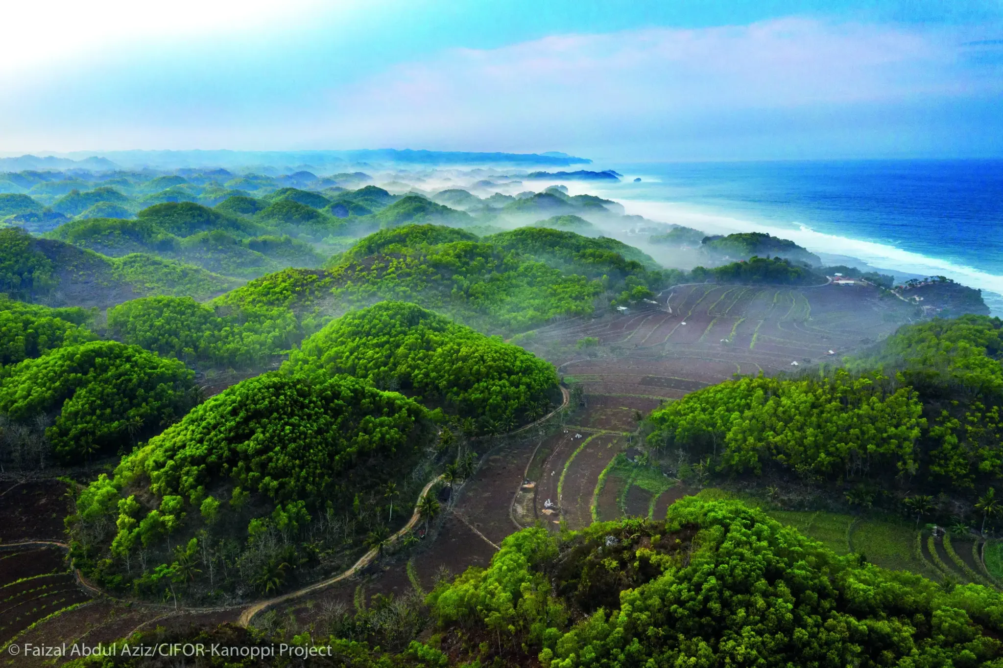 Business 4 Land Initiative
