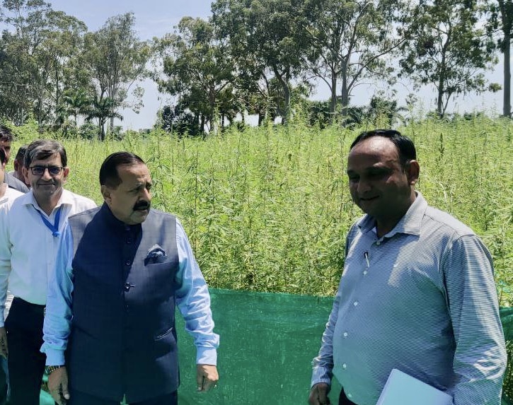 Cannabis Medicine Project