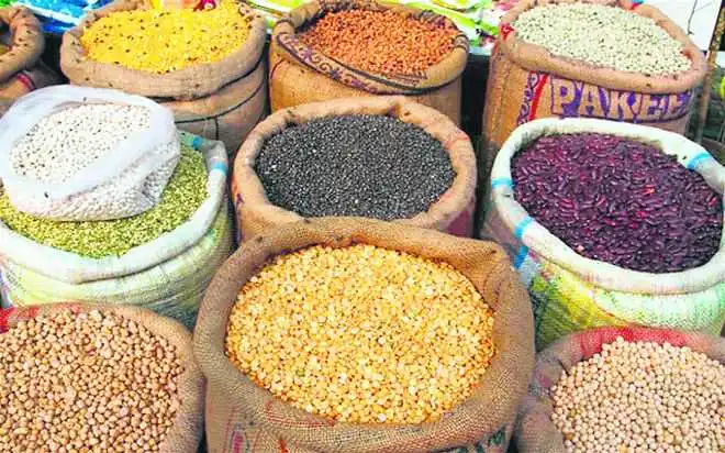 Cause and Effect of the Inflation in Pulses in India