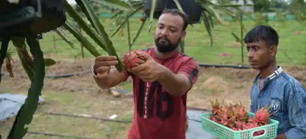 CDP-SURAKSHA